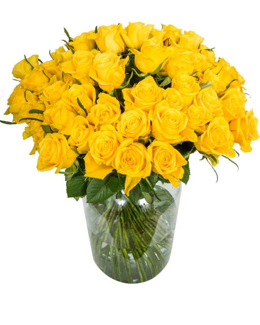 75 Long Stemmed Yellow Roses – Fresh Yellow Roses, 75 Yellow Roses, Yellow Roses Bouquet, Yellow Roses by Post, Buy Yellow Roses Delivered, Yellow Roses, Send Yellow Roses, Order Yellow Roses