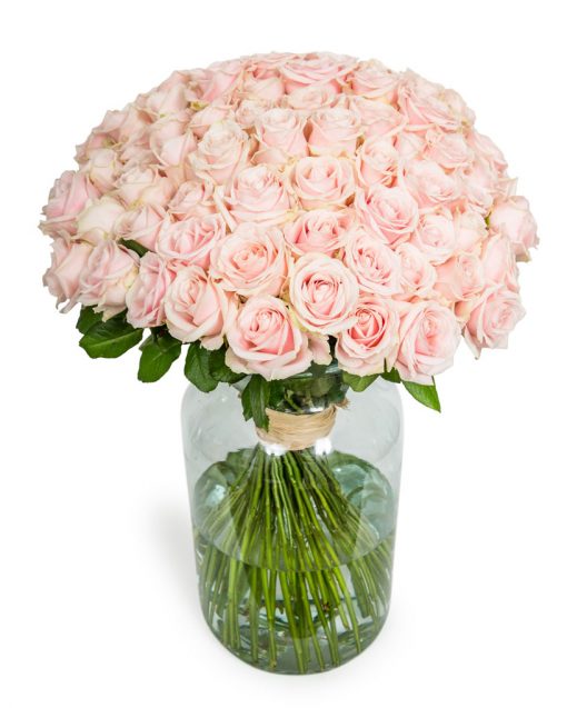 90 Long Stemmed Soft Pink Roses - Fresh Pink Roses, Pink Roses, Pink Roses Bouquet, 90 Pink Roses, Pale Pink Roses, Pink Rose Bouquet, Sweet Avalanche Roses, Pink Roses Delivery