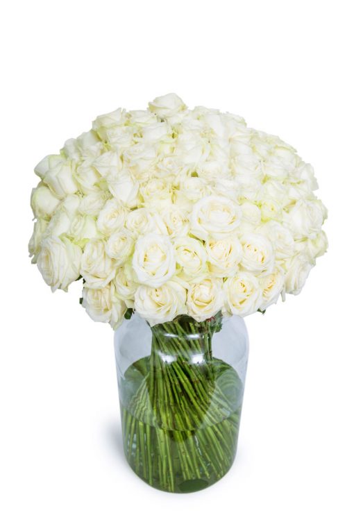 Long Stemmed Roses - White - Image 3