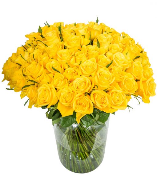 90 Long Stemmed Yellow Roses – Fresh Yellow Roses, 90 Yellow Roses, Yellow Roses Bouquet, Yellow Roses by Post, Buy Yellow Roses Delivered, Yellow Roses, Send Yellow Roses, Order Yellow Roses