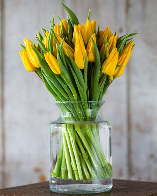 Tulip Subscription - Image 8