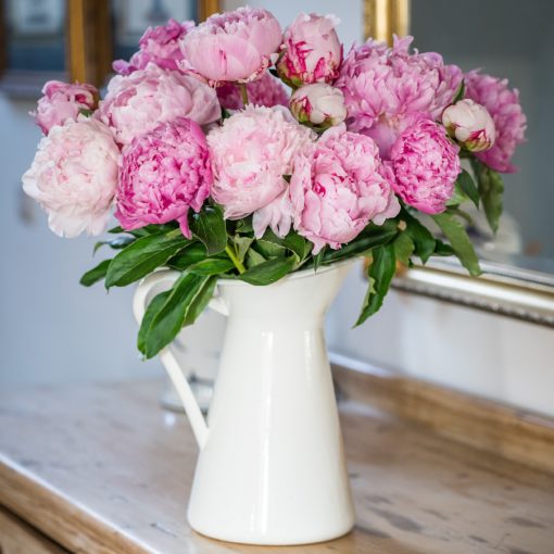 Pre Ordered Peonies - Pink - Sarah Bernhard - Image 5